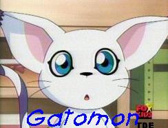 Gatomon- What a cutie!!