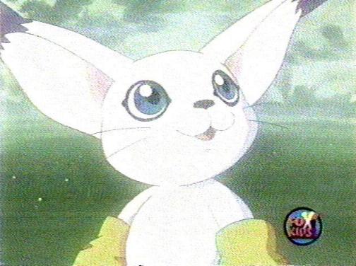 Another of Gatomon's favs...I can see why...CUTE!